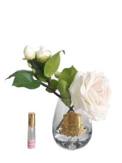 COTE NOIRE - LIMITED EDITION TEAR DROP- TEA ROSE - PINK BLUSH - PINK BOX - STR20