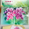 3D Pop-Up Greeting Card – Moth Orchid Bouquet Design - 15x20cm