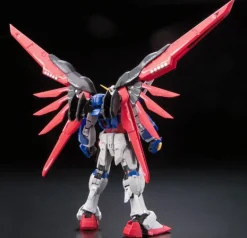 GUNDAM - RG 1/144 DESTINY GUNDAM 11
