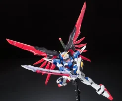 GUNDAM - RG 1/144 DESTINY GUNDAM 11