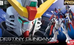 GUNDAM - RG 1/144 DESTINY GUNDAM 11