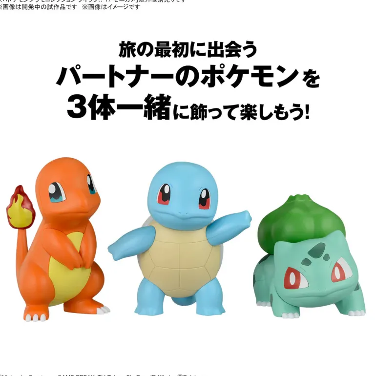 POKEMON - MODEL KIT QUICK!! 17 SQUIRTLE