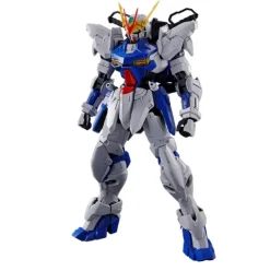 (PREMIUM-BANDAI) GUNDAM - MG 1/100 GUNDAM ASTRAY OUT FRAME D