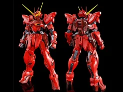 (PREMIUM-BANDAI) GUNDAM - MG 1/100 TESTAMENT GUNDAM RGX-00