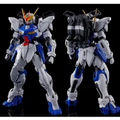 (PREMIUM-BANDAI) GUNDAM - MG 1/100 GUNDAM ASTRAY OUT FRAME D