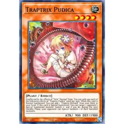 Yu-Gi-Oh! Structure Deck : Beware Of Traptrix Assorted